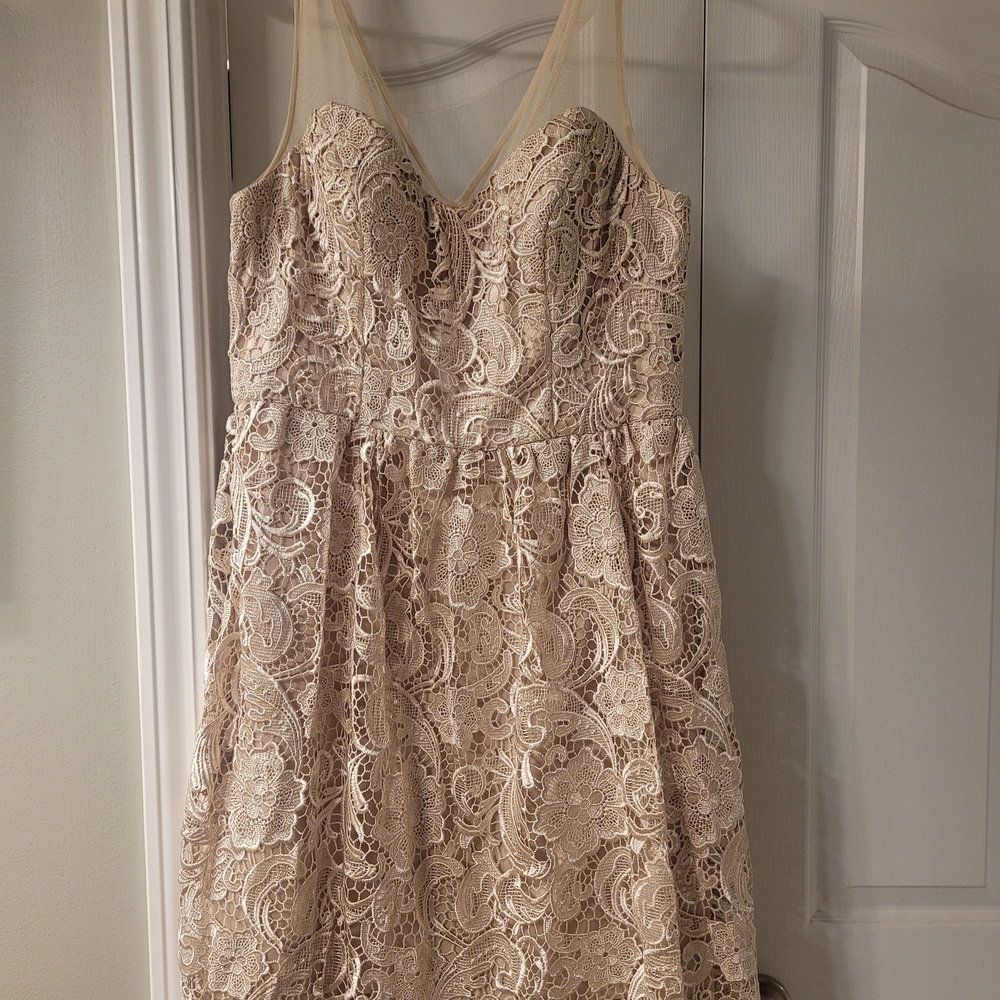 Adrianna Papell Elegant Lace Cocktail Dress in Cream